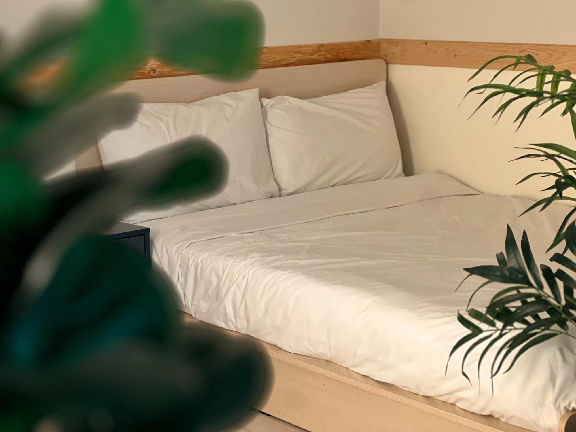Jnineguesthouse 首爾 外观 照片